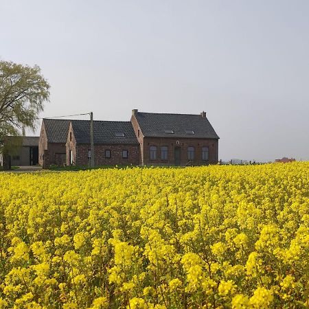 Spacious Holiday Home With Pond In Poperinge Roesbrugge-Haringe Eksteriør bilde