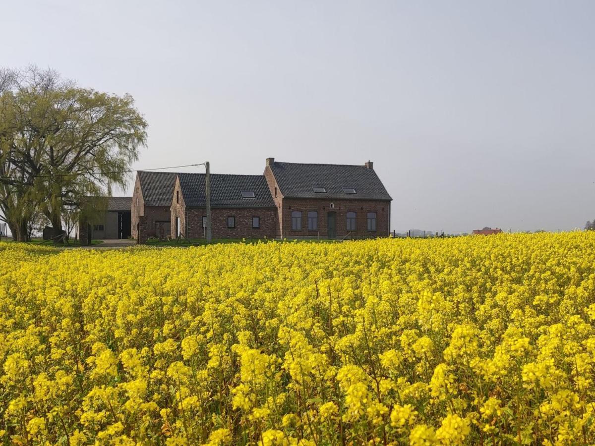 Spacious Holiday Home With Pond In Poperinge Roesbrugge-Haringe Eksteriør bilde